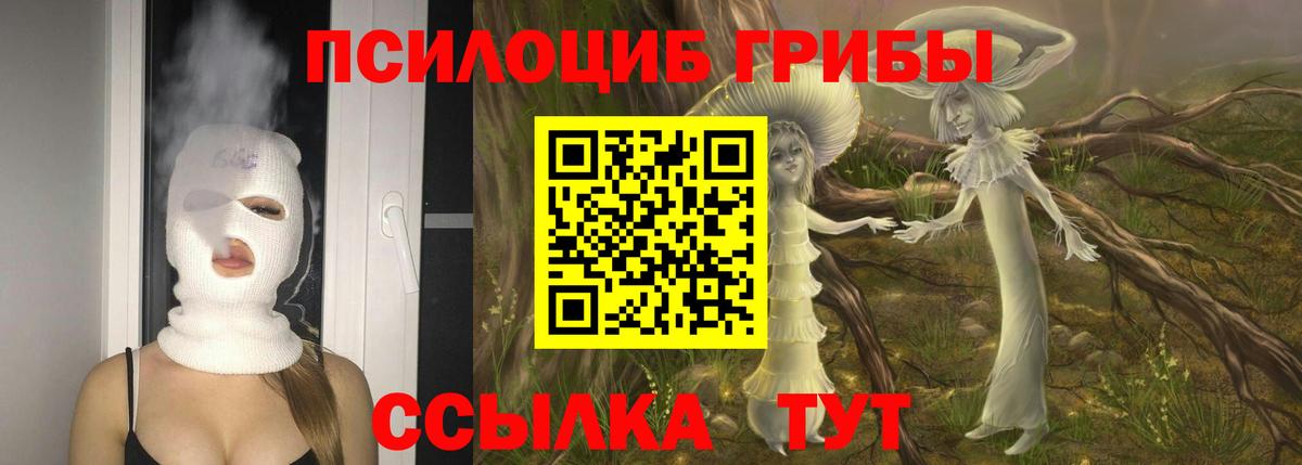 Псилоцибиновые грибы GOLDEN TEACHER  Галлюциногенные грибы Magic Shrooms  Донецк  Вход с VPN 